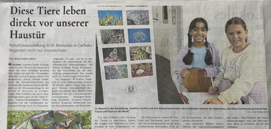 Zeitungsartikel