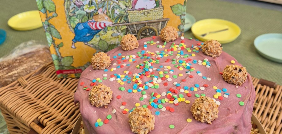 Bunte Torte und das Buch "Frühling im Brombeerhag"