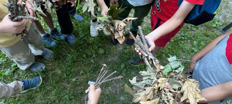 Kinderhände, die Stöcke und Blätter festhalten
