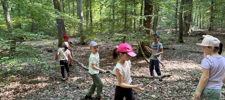 Waldsofa bauen Kinder der 1b bauen ein Waldsofa aus Ästen
