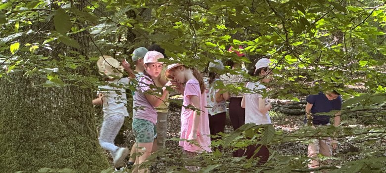 Waldforscher Kinder der 1b entdecken Tiere und Pflanzen mit Lupen